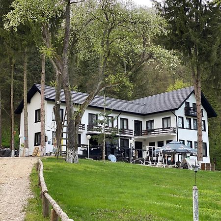 Starite Borove Villa Sinagovtsi Bagian luar foto
