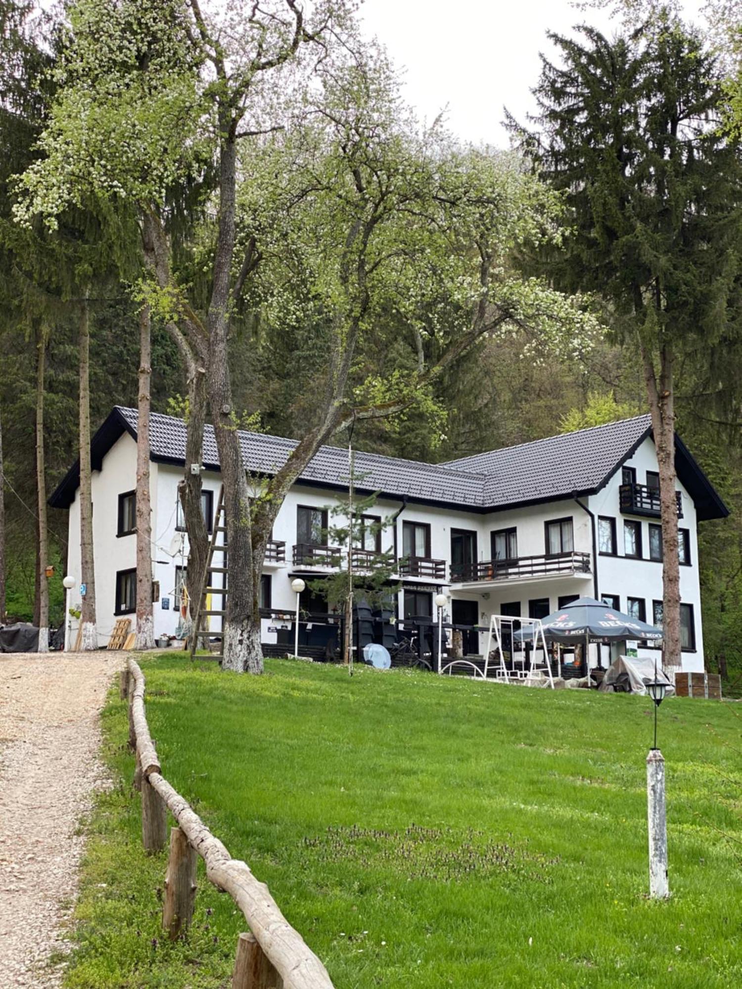 Starite Borove Villa Sinagovtsi Bagian luar foto